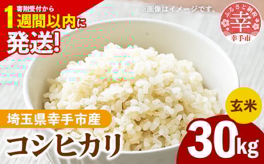 令和7年産 幸手市産 コシヒカリ 玄米30kg 色彩選別済 Brown Rice - お米 米 こしひかり 玄米 30kg 埼玉県 幸手市埼玉県幸手市80000米・パン白米