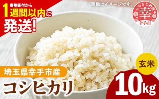 ߘa7NY KsY RVqJ 10kg FʑIʍ Brown Rice -   Ђ  10kg ʌ KsʌKs27000āEp