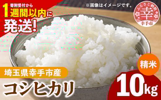 令和7年産 幸手市産 コシヒカリ 白米10kg 色彩選別済 White Rice-  お米 米 こしひかり 精米 10kg 埼玉県 幸手市埼玉県幸手市32000米・パン白米