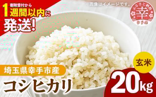 ߘa7NY KsY RVqJ 20kg FʑIʍ Brown Rice -   Ђ  20kg ʌ KsʌKs54000āEp