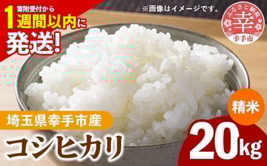 ߘa7NY KsY RVqJ 20kg FʑIʍ White Rice-    Ђ  20kg ʌ KsʌKs64000āEp