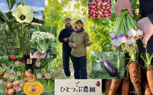 ひとつぶ農園「ときがわ有機野菜セット」  A003埼玉県ときがわ町10000野菜・きのこその他 野菜