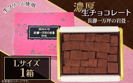 生チョコレート「長瀞一万坪の岩畳」Lサイズ(約189g)埼玉県皆野町15000菓子・スイーツその他 洋菓子