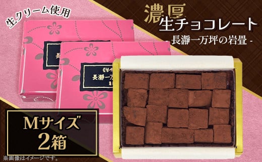 生チョコレート Mサイズ 2箱「長瀞一万坪の岩畳」約133g埼玉県皆野町19000菓子・スイーツその他 洋菓子