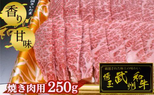 BaEĂp250gy[݂̂㎿ȍƊÖIz [No.053]ʌ15000