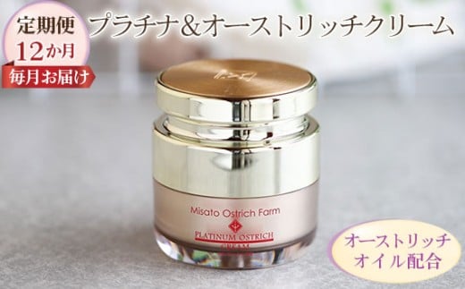 v`iI[Xgb`N[yցz12͂yGCWOPǍŁz [No.126]ʌ134000G݁EpiϐEtEei