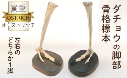 I[Xgb`riW{ [No.128]ʌ200000ߗށEiEH|ȋ iEH|i