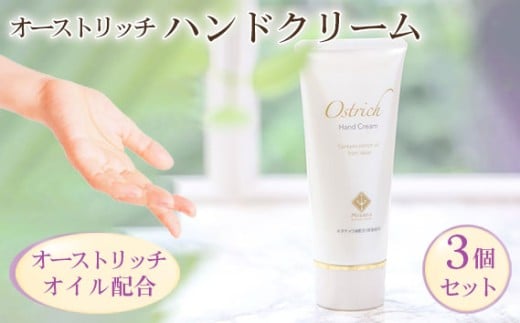 I[Xgb`nhN[3ZbgynhPǍŁz [No.050]ʌ16000G݁EpiϐEtEei