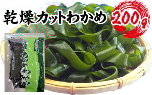 yHIzOYEJbg킩 200g [No.145]ʌ9500ECŶEC