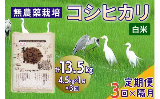 [ց^u3] _͔| RVqJsātv13.5kg (4.5kg×3)b  R   ͂   蕨 i ӂ邳Ɣ[   [0671]ʌ˒6500