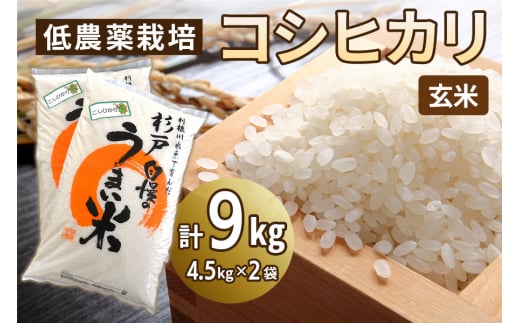 _͔|̃RVqJsāt9kg (4.5kg×2)b  R   ͂   蕨 i ӂ邳Ɣ[   [0647]ʌ˒32000āEp