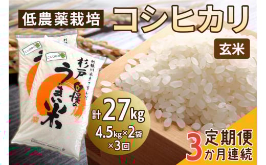 [ց^3] _͔|̃RVqJsātv27kg (4.5kg×2×3A)b  R   ͂   蕨 i ӂ邳Ɣ[   [0650]ʌ