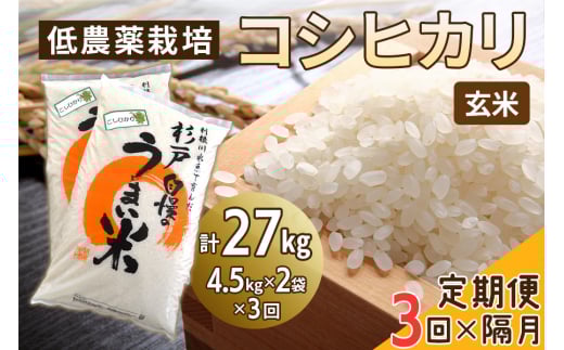 [ց^u3] _͔|̃RVqJsātv27kg (4.5kg×2×3)b  R   ͂   蕨 i ӂ邳Ɣ[   [0653]ʌ