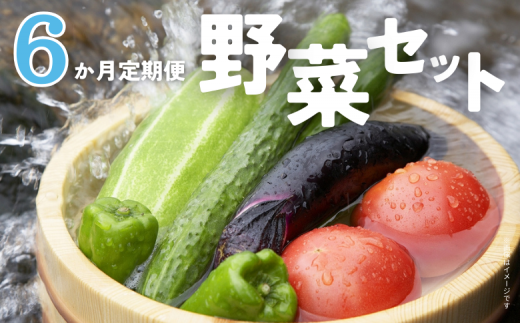 \ 6か月定期便 / 旬 の 採れたて野菜 詰め合わせ 野菜セット 野菜 野菜詰め合わせ 旬の野菜セット 旬の採れたて 酒々井 千葉 セット 季節の野菜 日用品 定期便千葉県酒々井町80000野菜・き
