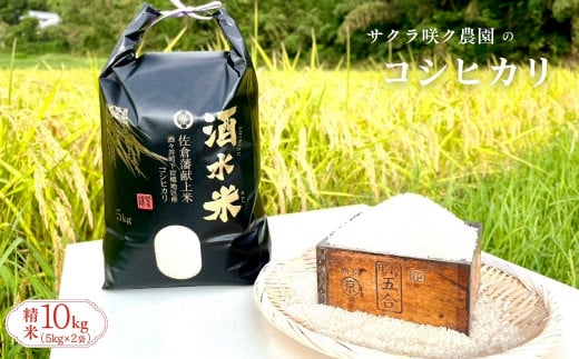 令和7年産 コシヒカリ 10kg 先行予約 9月中旬以降出荷予定 酒々井町 産 「 酒水米 」 コシヒカリ 米10kg 5kg×2袋(合計10kg) でお届け 2025年産 こめ 千葉 お米 こしひかり 農家直送 産地直送 旬