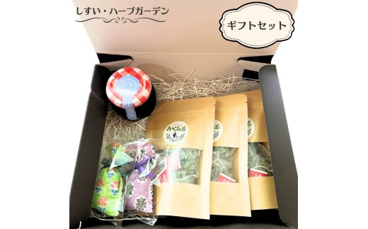 En[uK[f MtgZbgmIWin[ueB[ 3 / ~bNXx[W1r/TVFix_[jQntX䒬12000ZbgE؁EHHiWE͂