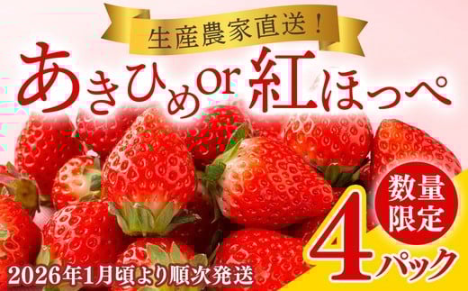 12-7 岡戸農園 いちご(4パック)*「あきひめ」あるいは「紅ほっぺ」数量限定 ※2026年1月頃より順次発送予定 ※沖縄・離島への配送不可千葉県栄町12000果物・フルーツいちご