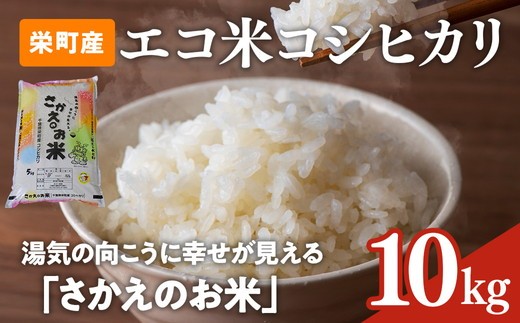 令和7年産米(数量限定)ちばエコ認定米 栄町産 コシヒカリ10kg(5kg袋×2) 長谷川農園|令和7年産 白米 新米 精米 お米 コメ ごはん お弁当 おにぎり 人気 おすすめ ※沖縄・離島への配送不