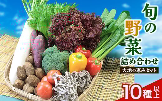 旬野菜の詰め合わせ 「大地の恵みセット」 10種以上【1071786】千葉県芝山町11000野菜・きのこその他 野菜