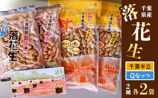 千葉県産落花生・千葉半立 210g×2袋 & Qなっつ 180g×2袋【1385498】千葉県芝山町13500野菜・きのこ豆類