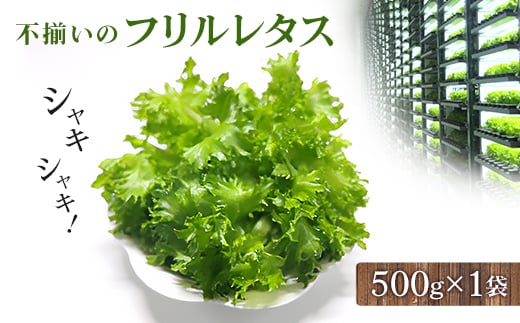 s̃^X(t^X)500g×1܁y1455409ztŎR5500؁Ê̑ 