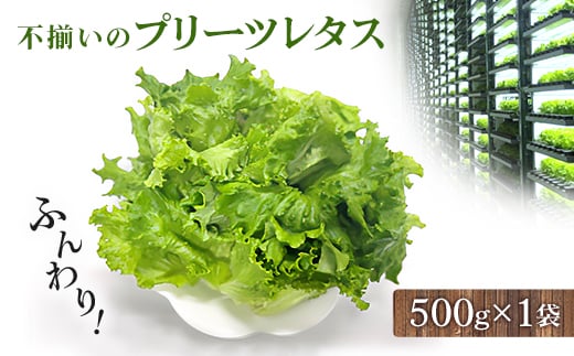 s̃^X(v[c^X)500g×1܁y1455410ztŎR5500؁Ê̑ 