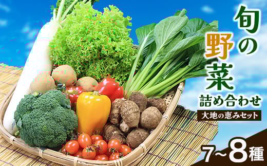 <空の駅 風和里しばやま>旬野菜の詰め合わせ「大地の恵みセット」7〜8種【1071778】千葉県芝山町7000野菜・きのこその他 野菜