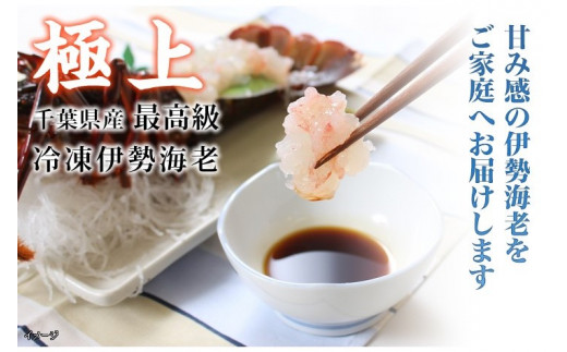 D128 活〆生食用伊勢海老(冷凍)960g(230〜250g)×4匹千葉県御宿町33500魚介・海産物エビ