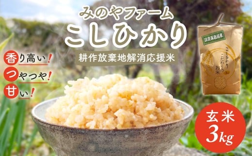 令和7年産新米 こしひかり 3kg(玄米) みのやファームの耕作放棄地解消応援米 【 コシヒカリ こしひかり おいしいお米 玄米 自然栽培 贈り物 ギフト 千葉県 御宿町 人気 おすすめ ラン