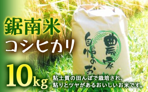 令和7年度産 新米 鋸南米コシヒカリ10kg精米 F22X-105千葉県鋸南町28000米・パン白米