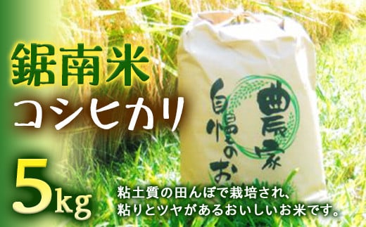 令和7年度産 新米 鋸南米 コシヒカリ 5kg 精米 F22X-103千葉県鋸南町15000米・パン白米