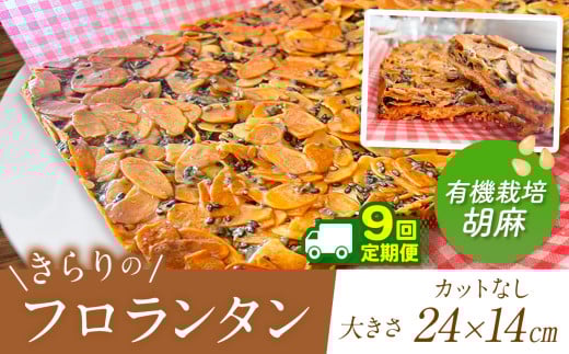 9回 定期便 ザクザク ? きらりのフロランタン 有機栽培胡麻 | アーモンド たっぷり 贅沢 ショートニング不使用 マーガリン不使用  トランス脂肪酸不使用 保存料不使用 フロランタン スイー