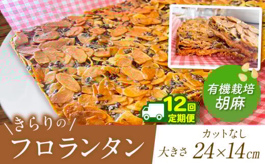 12回 定期便 ザクザク ? きらりのフロランタン 有機栽培胡麻 | アーモンド たっぷり 贅沢 ショートニング不使用 マーガリン不使用  トランス脂肪酸不使用 保存料不使用 フロランタン スイー
