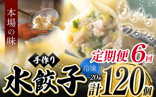 6回 定期便 地元野菜 ・ 国産素材 を使用 ニンニク不使用 手作り水餃子 ( 冷凍 ) 20個 【 手作り餃子の店 吉春 】 | 料理 食品 ぎょうざ ギョーザ 餃子 水餃子 冷凍餃子 人気 にんにく不使用 に
