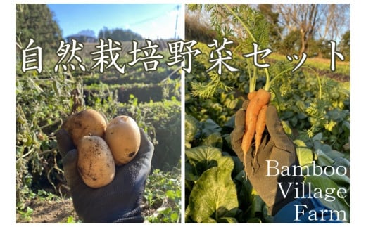 Bamboo Village Farm@R͔|ňĂc؃Zbgscs11000؁Ê̑ 