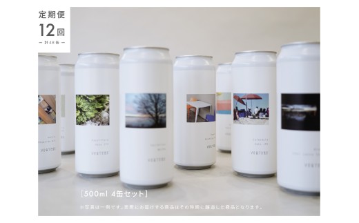 <年12回 定期便> VERTERE(バテレ)クラフトビール 500ml缶 4本東京都奥多摩町228000酒・アルコールビール・発泡酒
