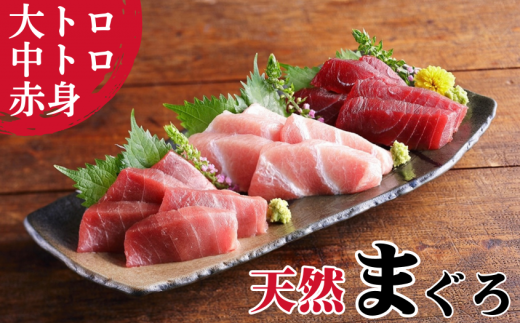 本物の味をお届け!厳選!天然三崎まぐろ大トロ・中トロ・赤身セット M005-038神奈川県三浦市23000魚介・海産物鮮魚