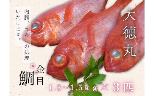yO萅gzڑ3CZbg@M026-004-02_ސ쌧OYs51000ECYN