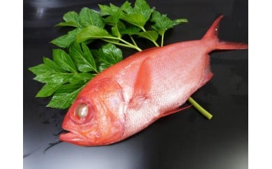 【三崎水揚げ】金目鯛+味噌漬&粕漬欲張りセット M026-007神奈川県三浦市43000魚介・海産物鮮魚