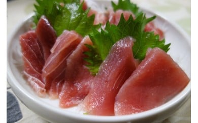 三崎港厳選 メバチまぐろ上赤身切り落とし M012-005神奈川県三浦市16000魚介・海産物鮮魚