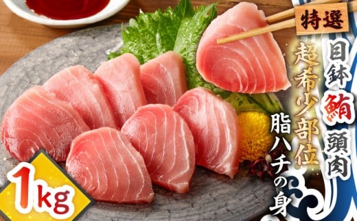 特選 目鉢鮪頭肉 超希少部位「脂ハチの身」 M081-001神奈川県三浦市13000魚介・海産物鮮魚