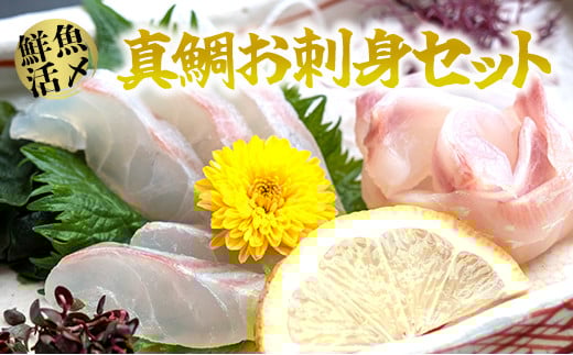 【高鮮度】鮮魚活〆真鯛お刺身セット M079-005神奈川県三浦市15000魚介・海産物鮮魚