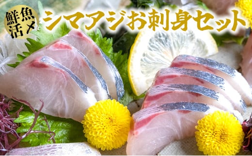 【高鮮度】鮮魚活〆シマアジお刺身セット M079-003神奈川県三浦市15000魚介・海産物鮮魚