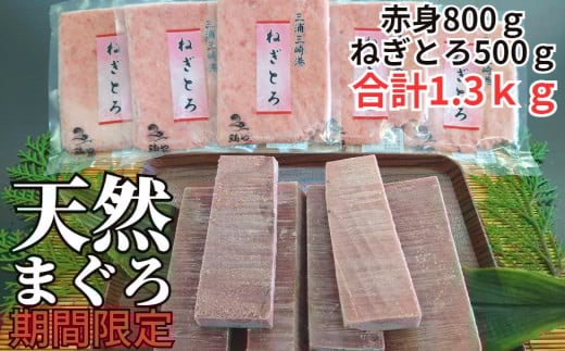 三崎の天然まぐろ赤身 800g・ねぎとろ 100g×5パック(500g)セット M024-002神奈川県三浦市16000魚介・海産物鮮魚