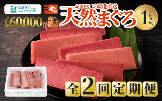 【訳あり】【全2回定期便】【1kgを2回お届け】(徳用)老舗三崎まぐろ問屋から直送!新鮮天然マグロ赤身 1kg M063-T01神奈川県三浦市27000魚介・海産物鮮魚