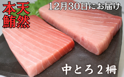 【お正月用C】天然本鮪中とろ2柵(2025年12月30日にお届け) M005-052神奈川県三浦市37000魚介・海産物鮮魚