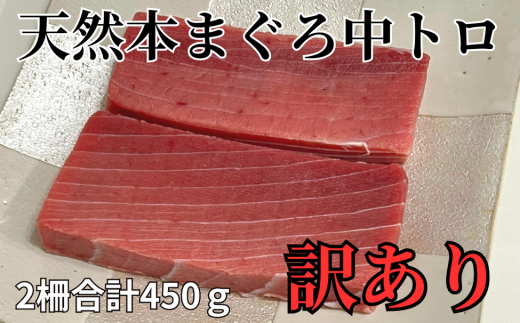 VR{ gTNiAj 2@M081-004-03_ސ쌧OYs25000ECYN
