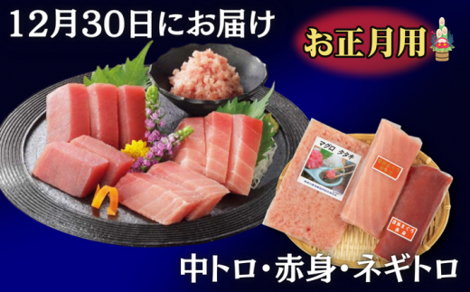 お正月用 メバチ鮪セット(神奈川県漁連) M077-006-01神奈川県三浦市15000魚介・海産物鮮魚