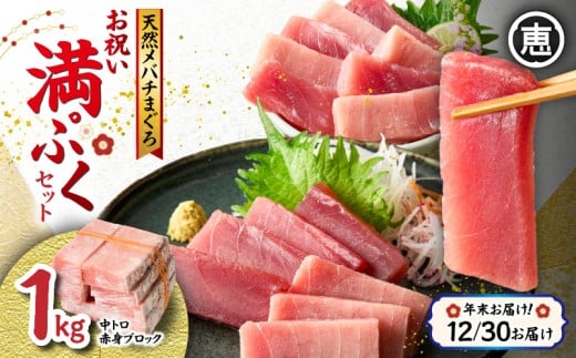 【年末・正月用/12月30日お届け】天然 目鉢まぐろ お祝い満ぷくセット 中トロ赤身1kgブロック 迎春 三崎まぐろ 三崎恵水産 M020-020-2-10神奈川県三浦市18000魚介・海産物鮮魚