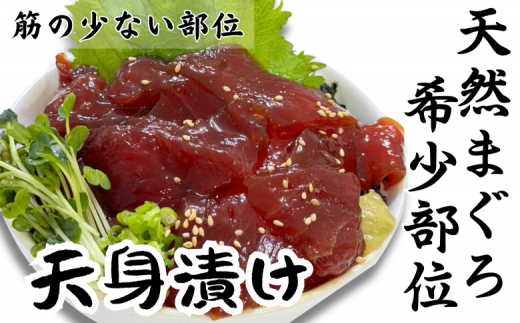めばち鮪 天身漬け M081-008神奈川県三浦市15000魚介・海産物鮮魚